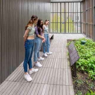 Clyfford Still Museum