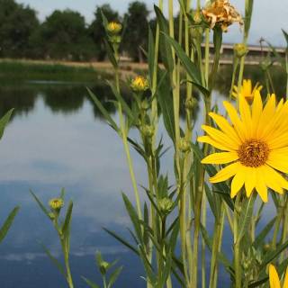 Sand Creek Regional Greenway