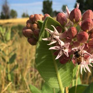 Sand Creek Regional Greenway