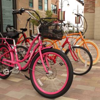 Pedego Southlands