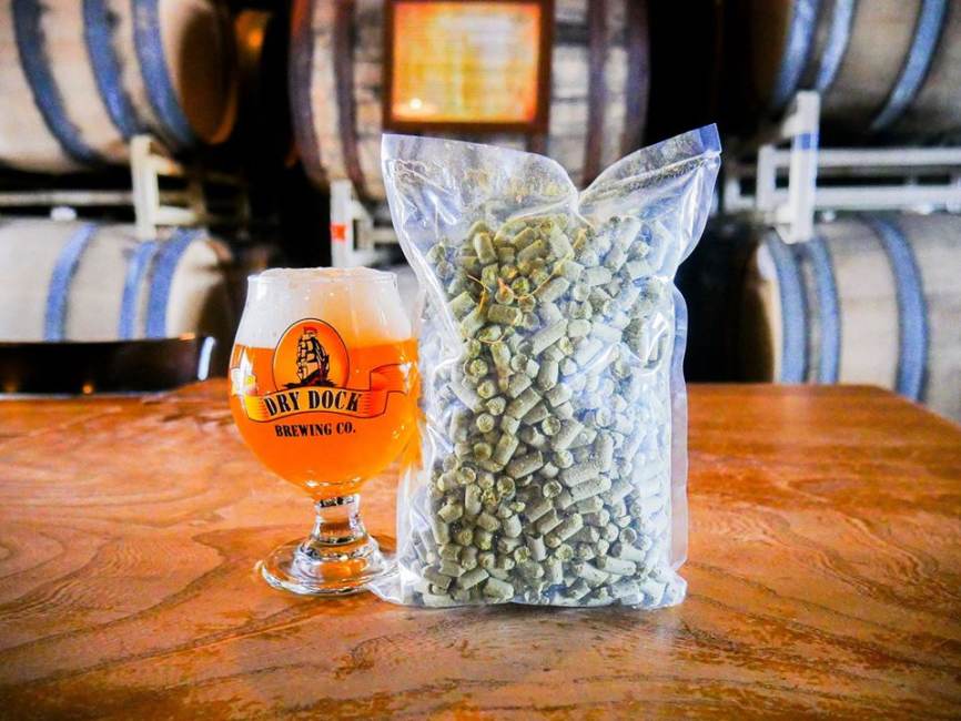 The Brew Hut Visit Aurora