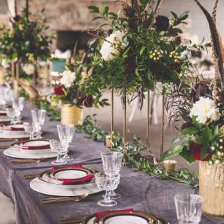 Colorado Party Rentals