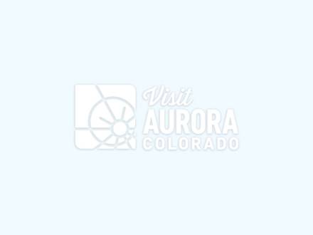 Person pets live wolf at Visit Aurora's Annual Meeting