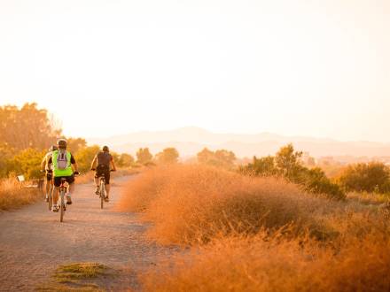 A group of friends bikes around Cherry Creek State Park at sunset