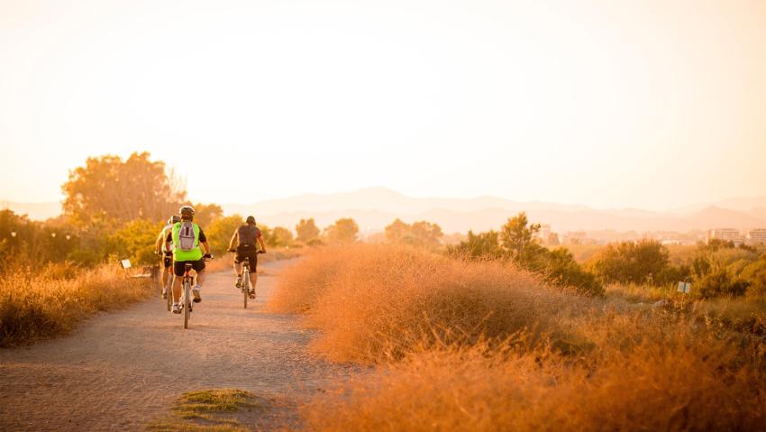 A group of friends bikes around Cherry Creek State Park at sunset