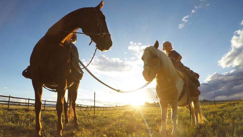 Young boy rides horses in Colorado