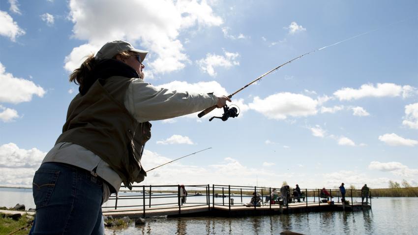 A woman casts her line at the Aurora Reservoir for a trout fishing contest.