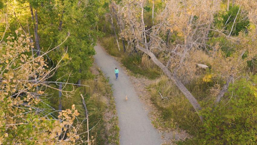 A woman and her dog head out for a hike on a soft pack trail in Aurora Colorado