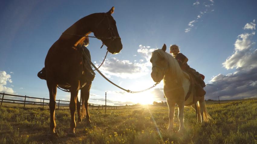 A young boy rides a horse at 12 Mile Stables in Aurora Co