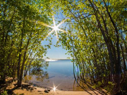 Sunshine at Cherry Creek State Park in Aurora Colorado