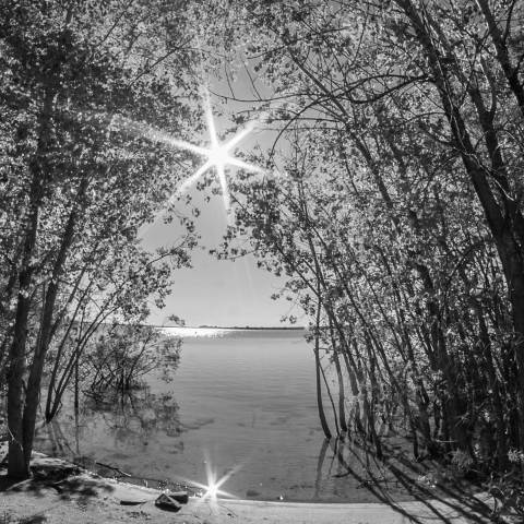 Sunshine at Cherry Creek State Park in Aurora Colorado