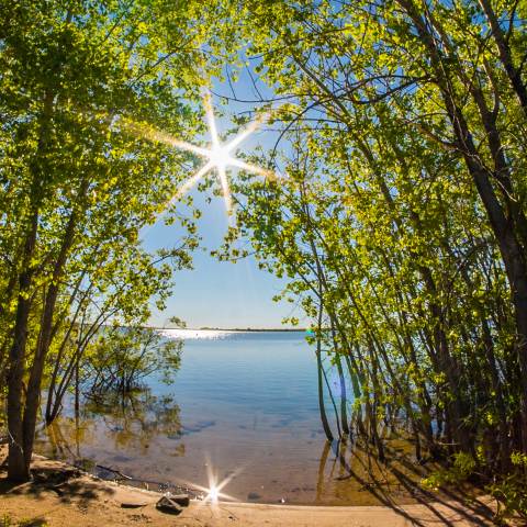 Sunshine at Cherry Creek State Park in Aurora Colorado