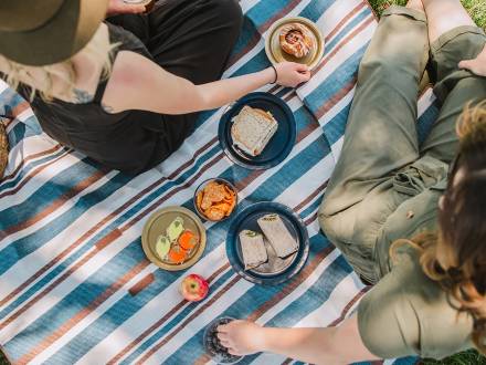 Family picnics under sun