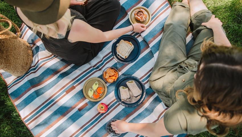 Family picnics under sun