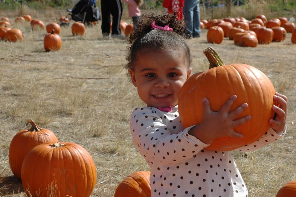 Punkin Chunkin Returns to Aurora on October 12