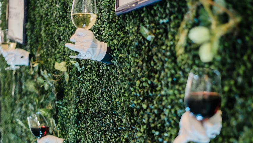 Hands hold glasses of wine at an event at Gaylord Rockies in Aurora Colorado