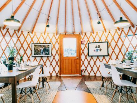 Annette Yurt