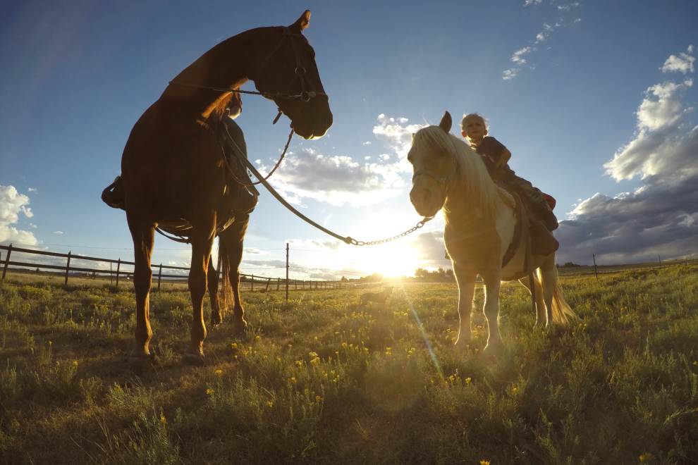 VISIT AURORA CELEBRATES NATIONAL TRAVEL AND TOURISM WEEK