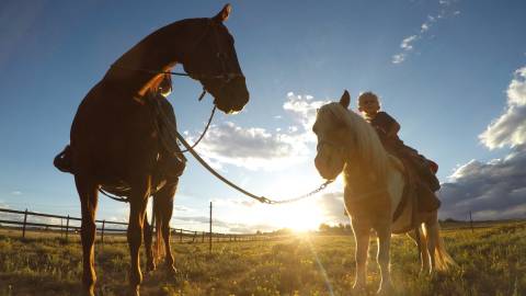 Horseback riding in Aurora, CO