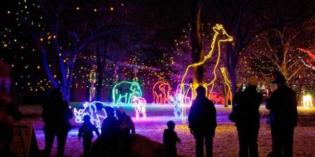 Aurora Christmas Lights 2022 Zoo Lights: A Toast To Love, 125 Years + Beyond | Visit Aurora